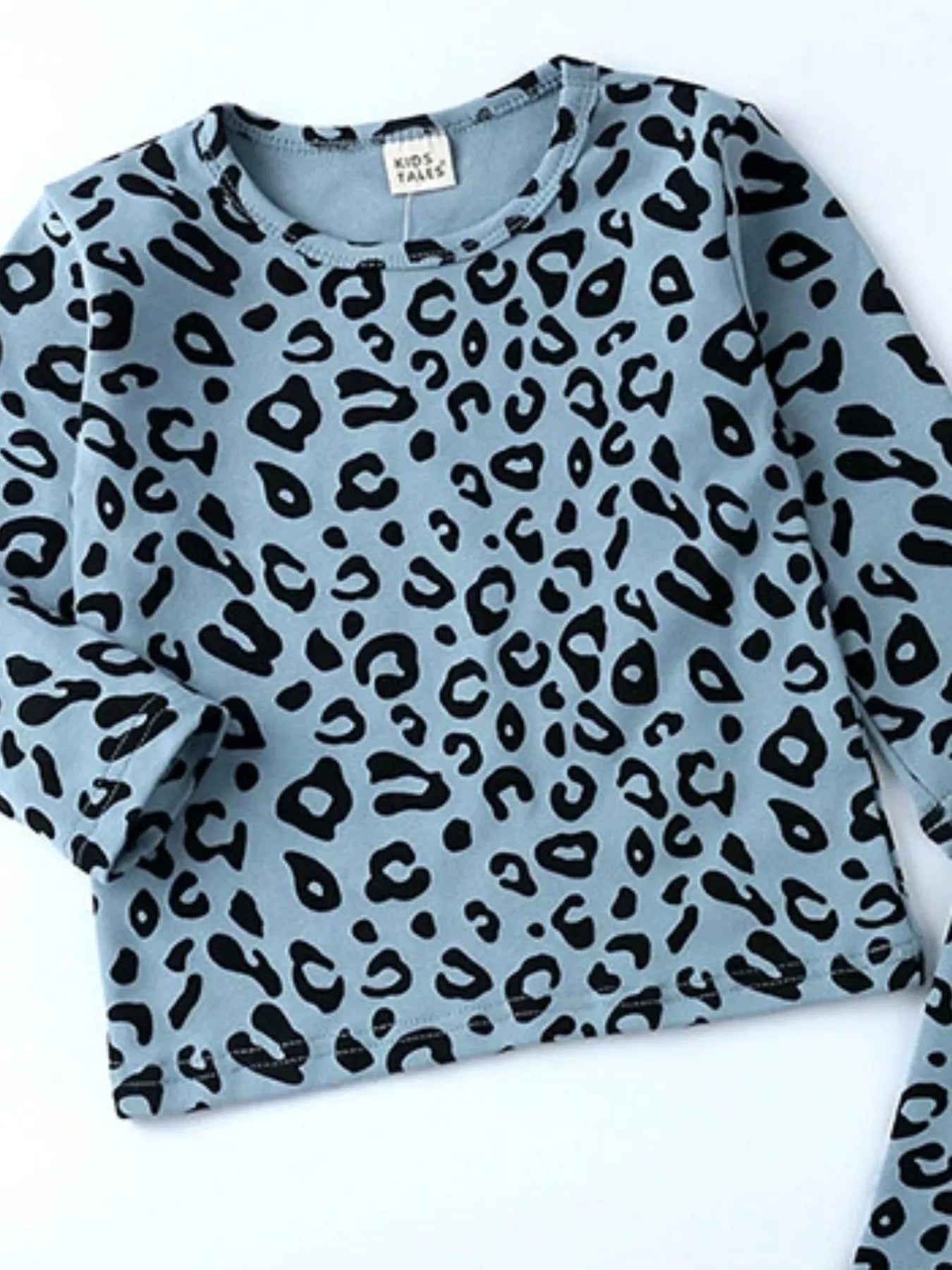 Children's Leopard Print Long Sleeve Top and Pants Set - Crowned Energy CO.