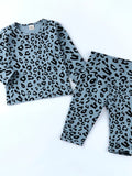 Children's Leopard Print Long Sleeve Top and Pants Set - Crowned Energy CO.
